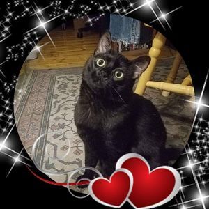 Meet your Posher, Angelita